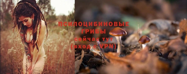прущая мука Армянск