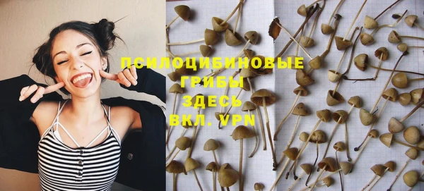 прущая мука Армянск