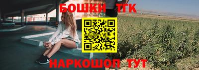 гидра Гатчина