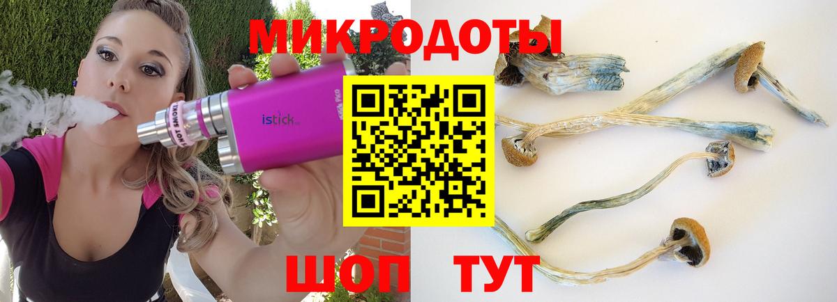 Новороссийск  Галлюциногенные грибы Psilocybine cubensis  даркнет сайт  Вход с VPN 