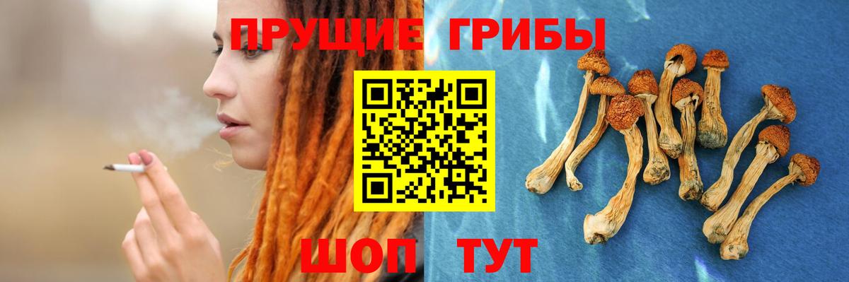 Галлюциногенные грибы прущие грибы Новороссийск